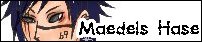 Maedels Hase/}hJl